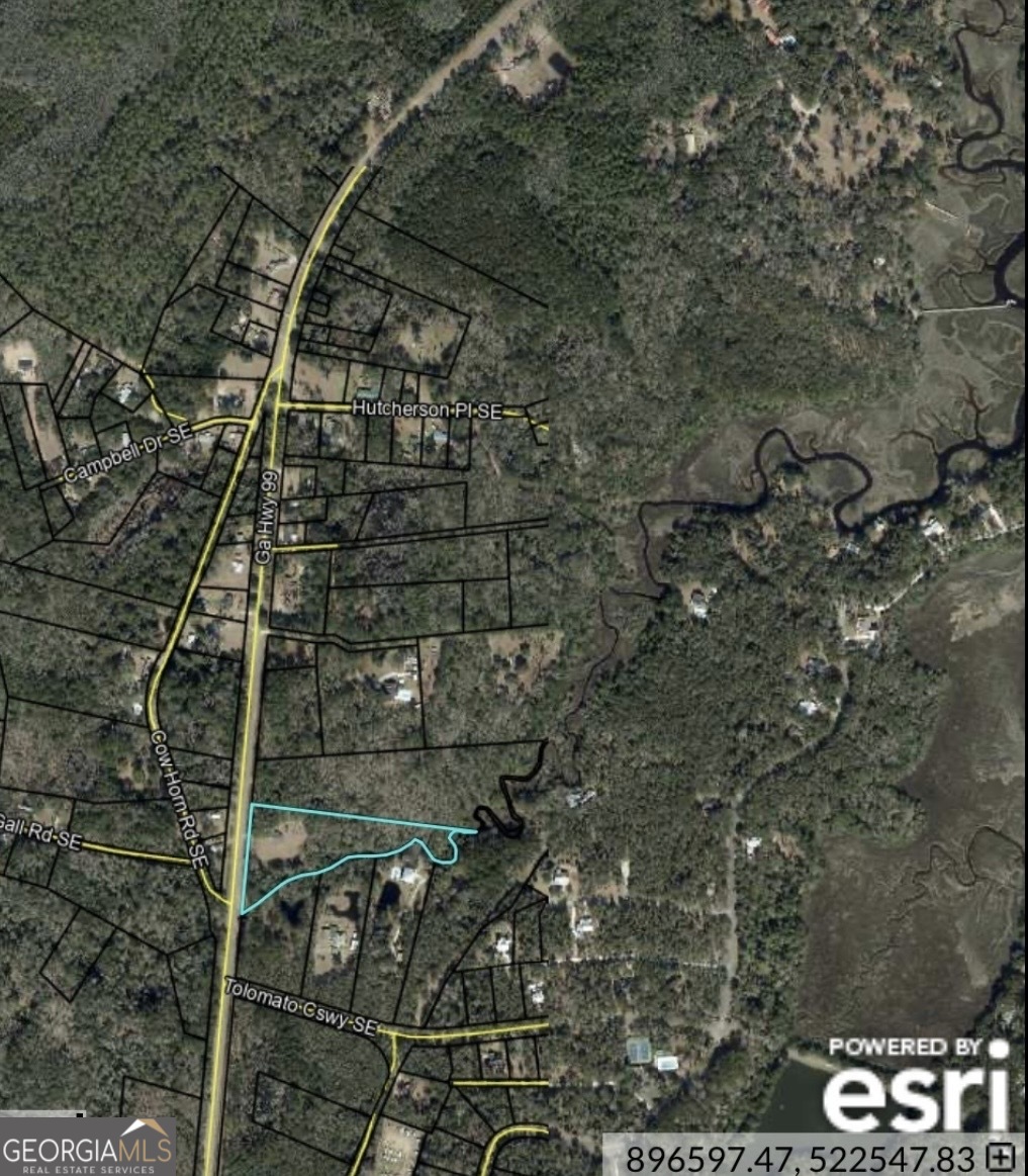 11817 Ga Highway 99 Property Photo 12
