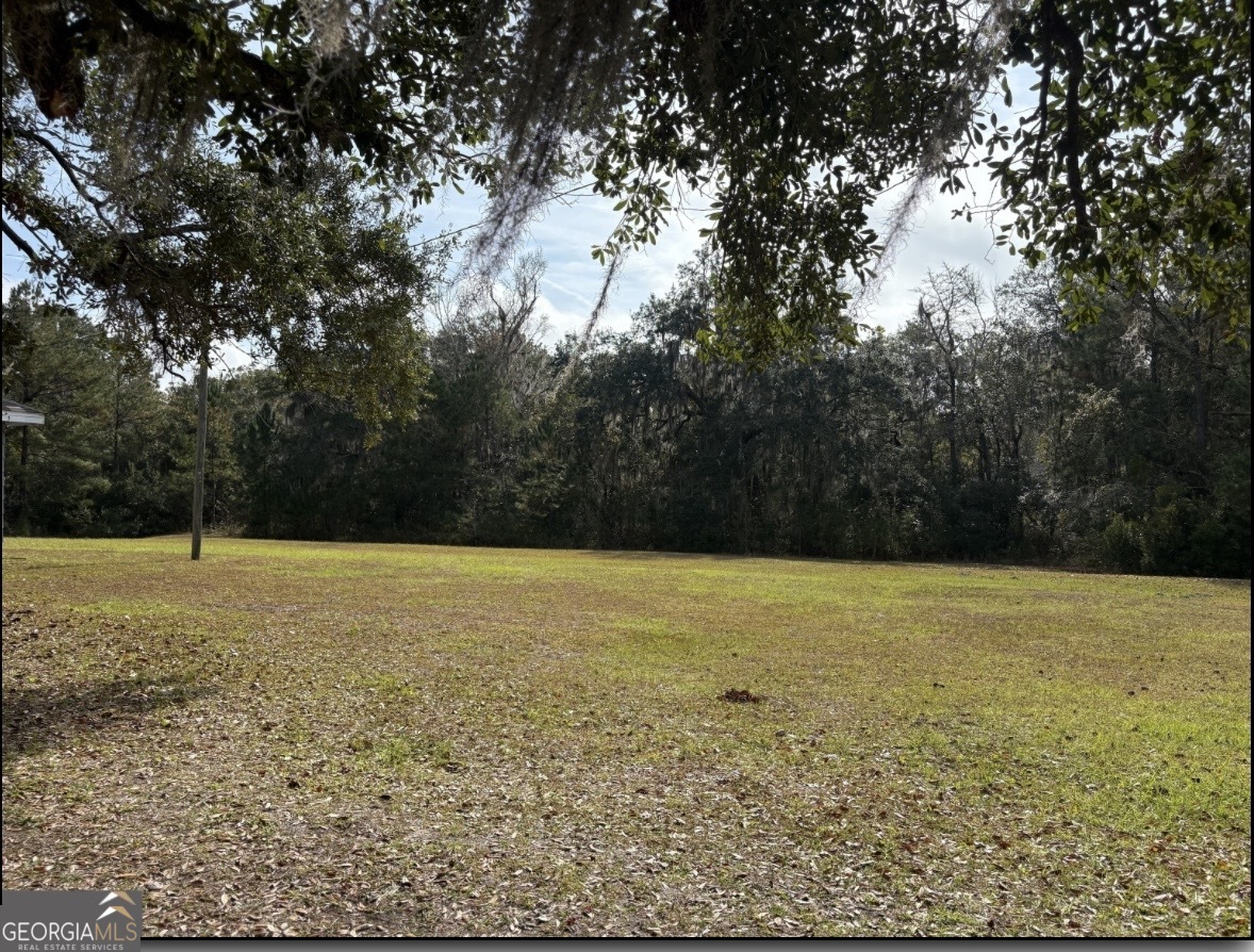 11817 Ga Highway 99 Property Photo 38