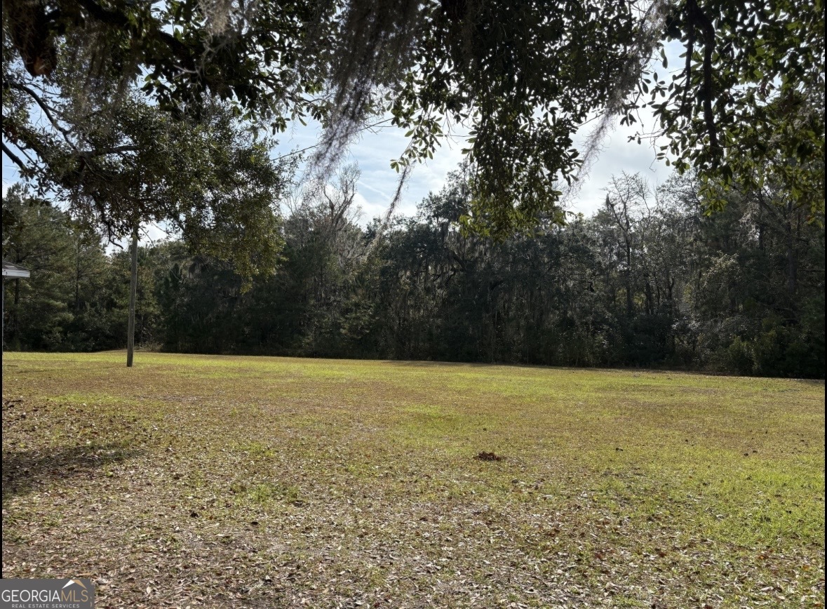 11817 Ga Highway 99 Property Photo 39