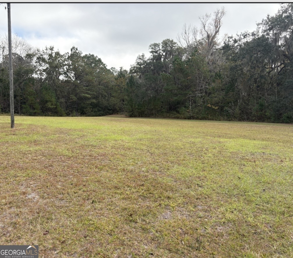 11817 Ga Highway 99 Property Photo 40