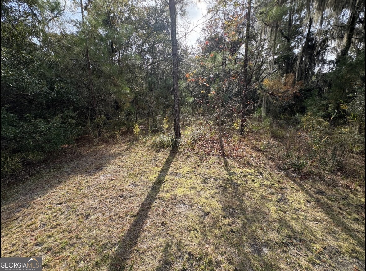 11817 Ga Highway 99 Property Photo 41