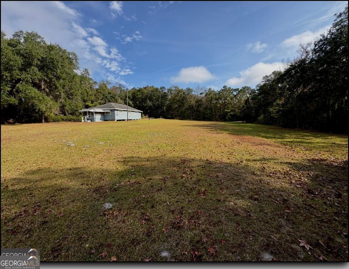 11817 Ga Highway 99 Property Photo 43