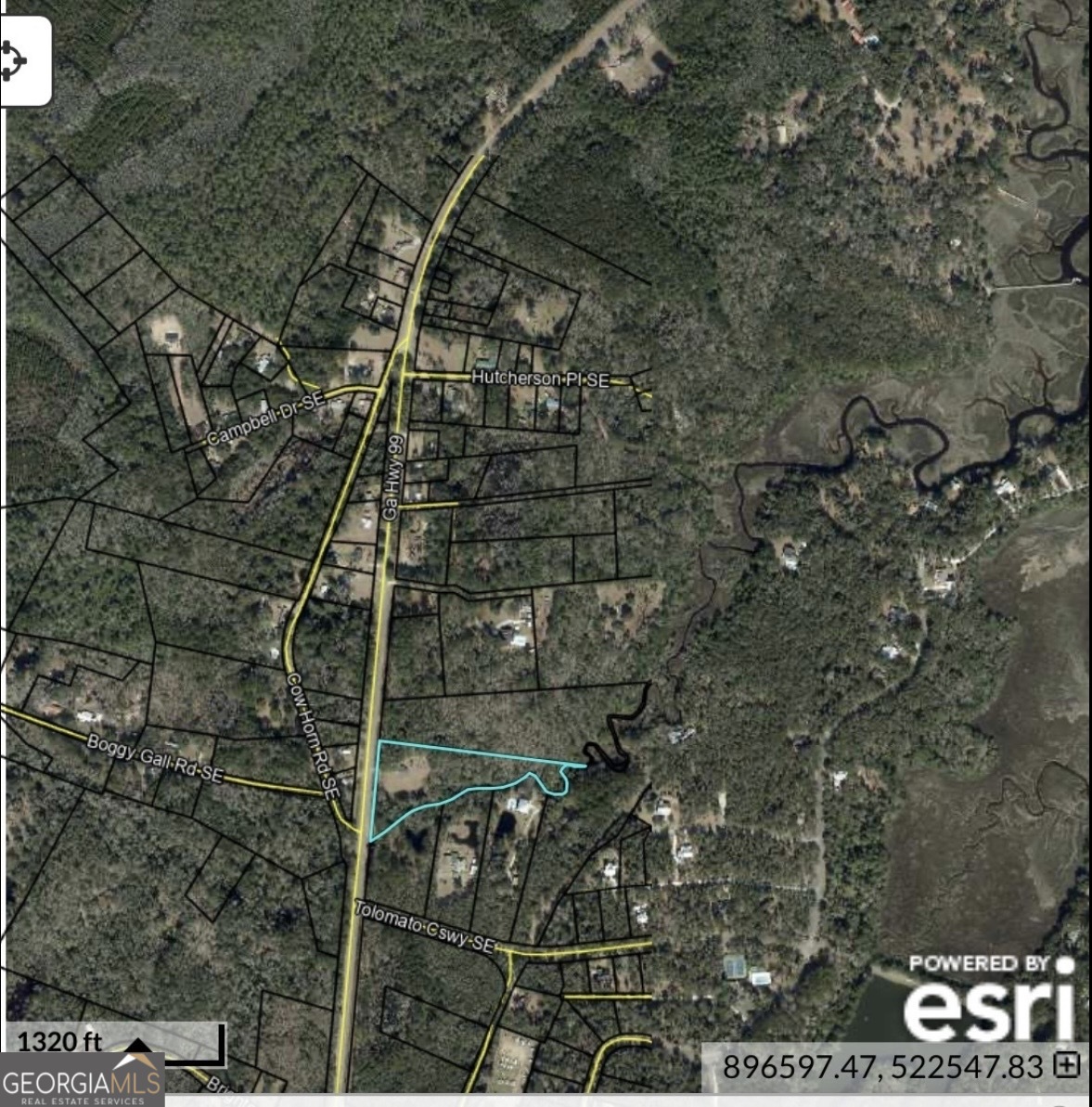 11817 Ga Highway 99 Property Photo 45