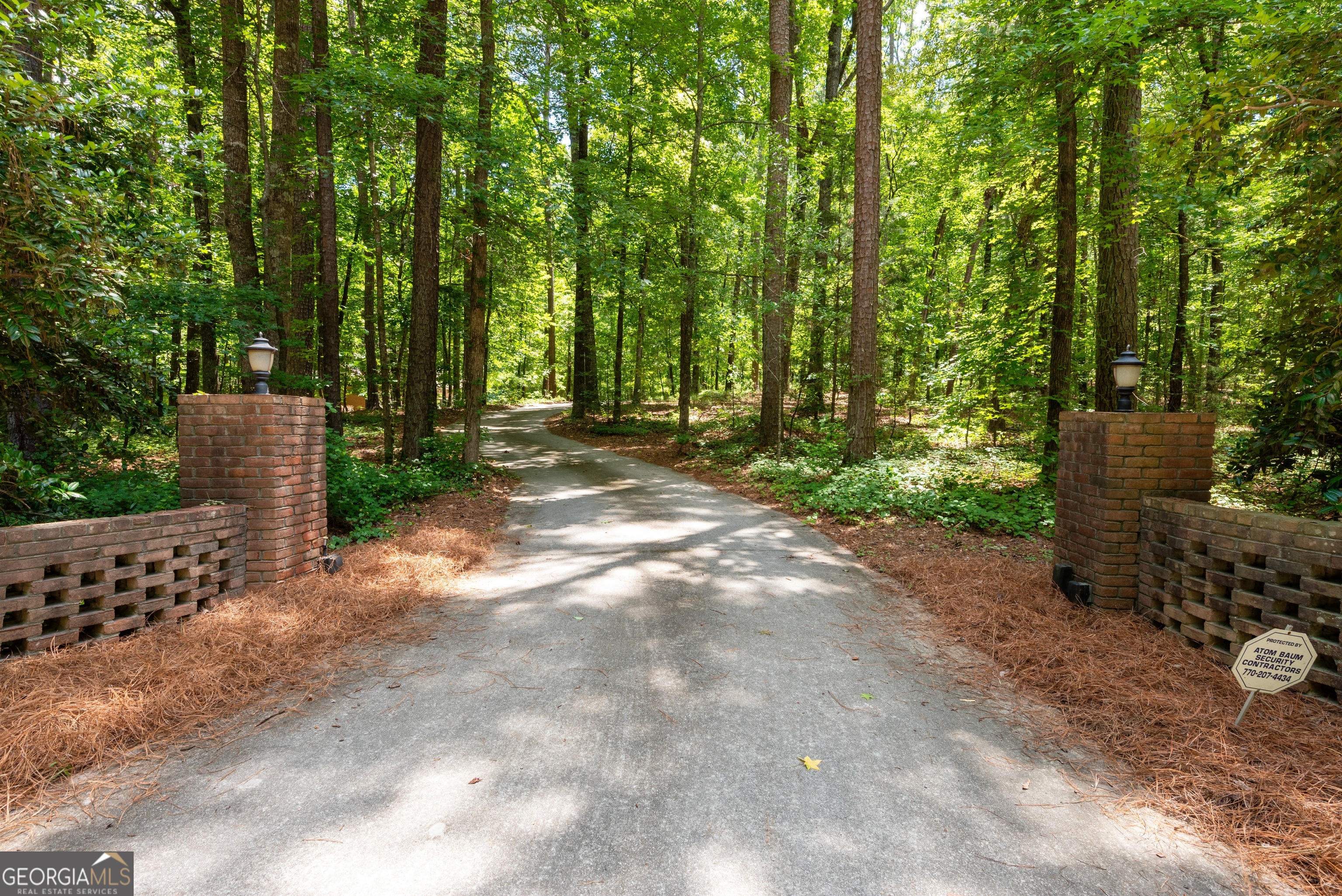 3010 Kari Brook Lane Property Photo 52