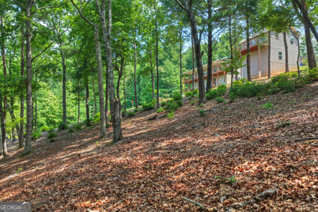 46 Sequoya Trail Property Photo 50