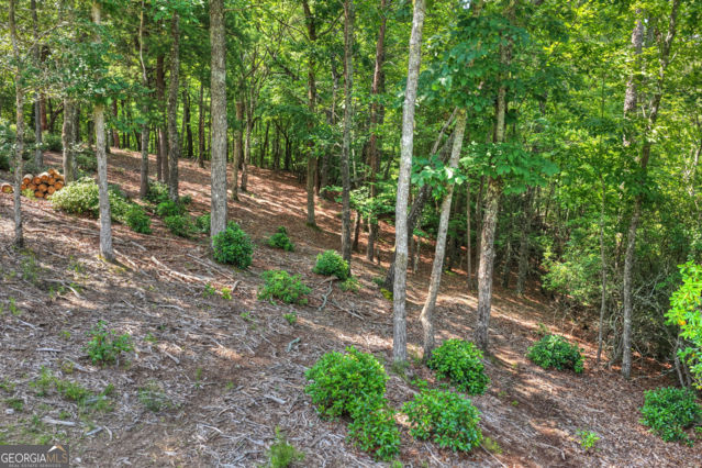 46 Sequoya Trail Property Photo 52