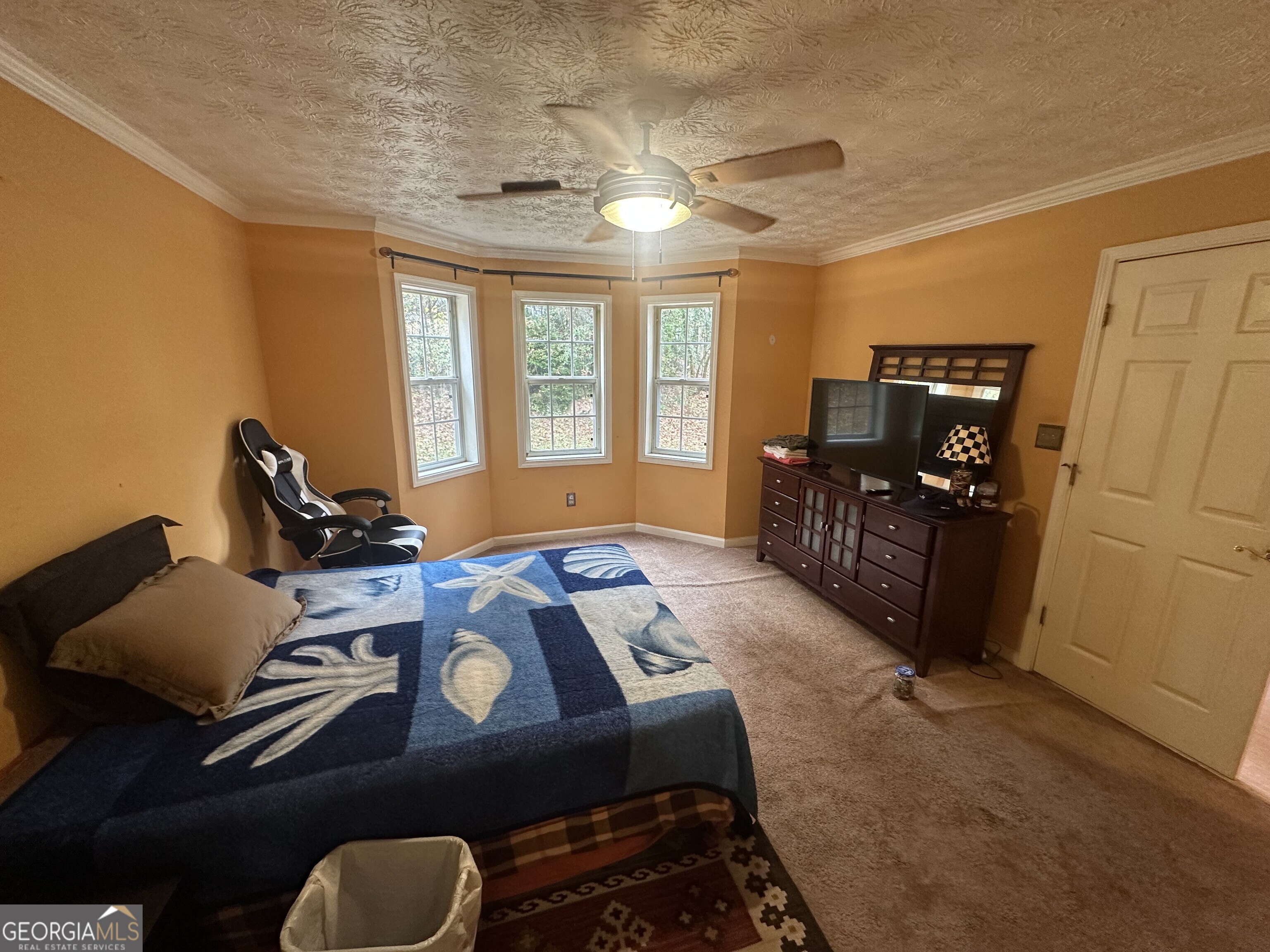 565 Patillo Road Property Photo 20
