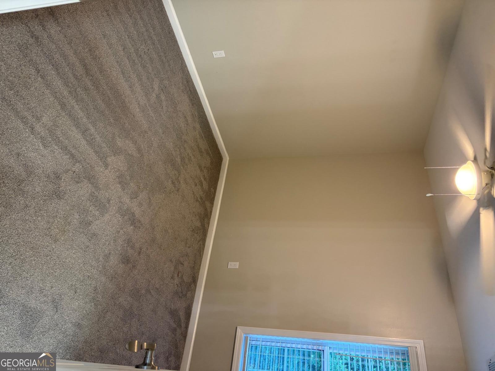 1105 Trumpet Vine Court Se Property Photo 32