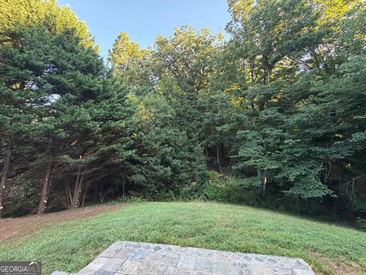 1105 Trumpet Vine Court Se Property Photo 34