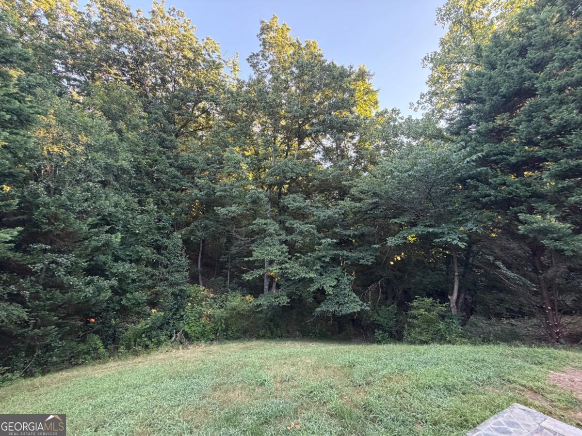 1105 Trumpet Vine Court Se Property Photo 35