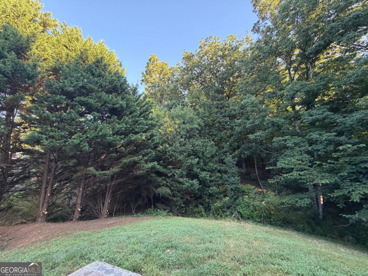 1105 Trumpet Vine Court Se Property Photo 36