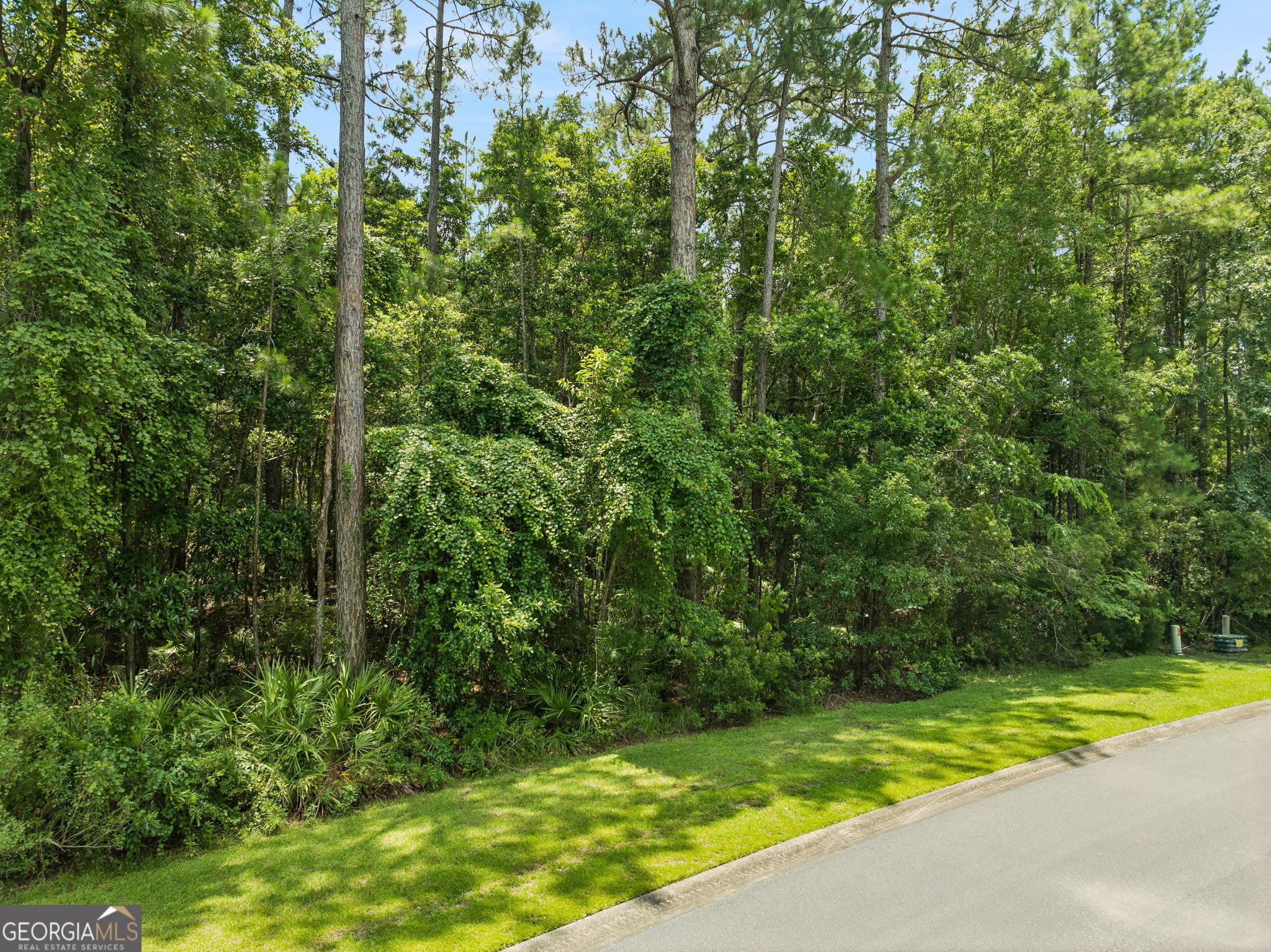V/l 185 Sunrise Drive Property Photo 19
