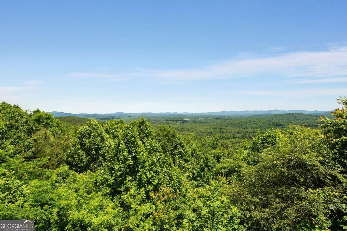 231 Sunrock Mountain Trail Property Photo 2