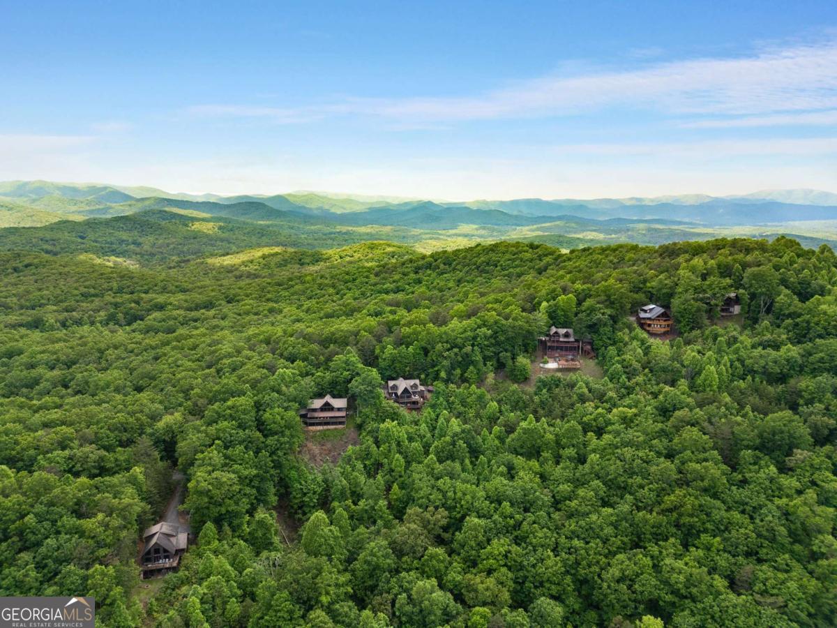 231 Sunrock Mountain Trail Property Photo 59