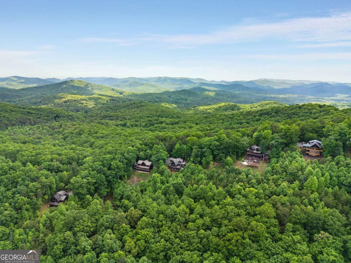 231 Sunrock Mountain Trail Property Photo 60