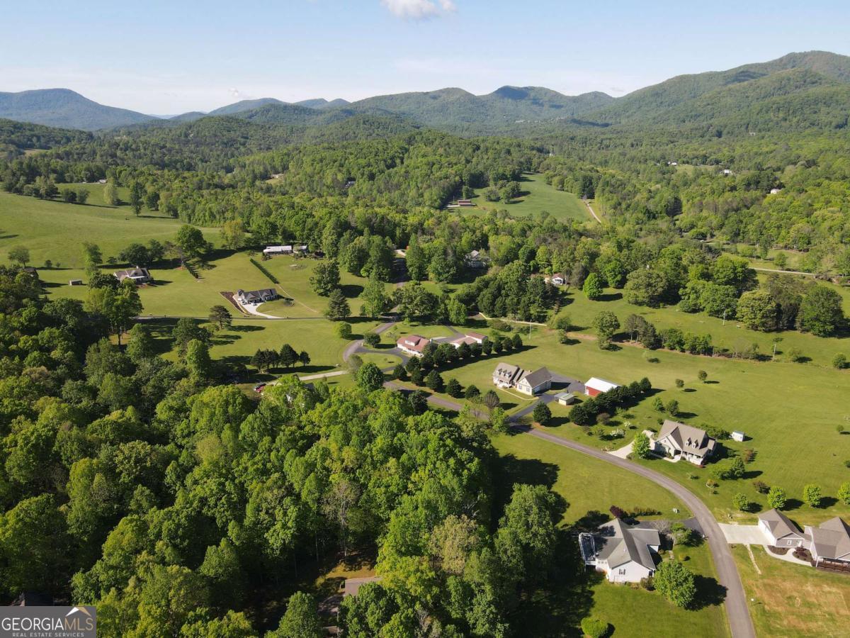 Lot 36 The Smithfields Property Photo 21