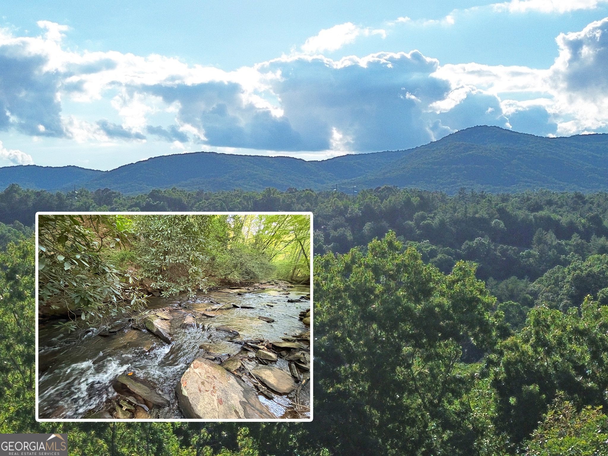 Lot 19 Mt. Springer Road Property Photo 1