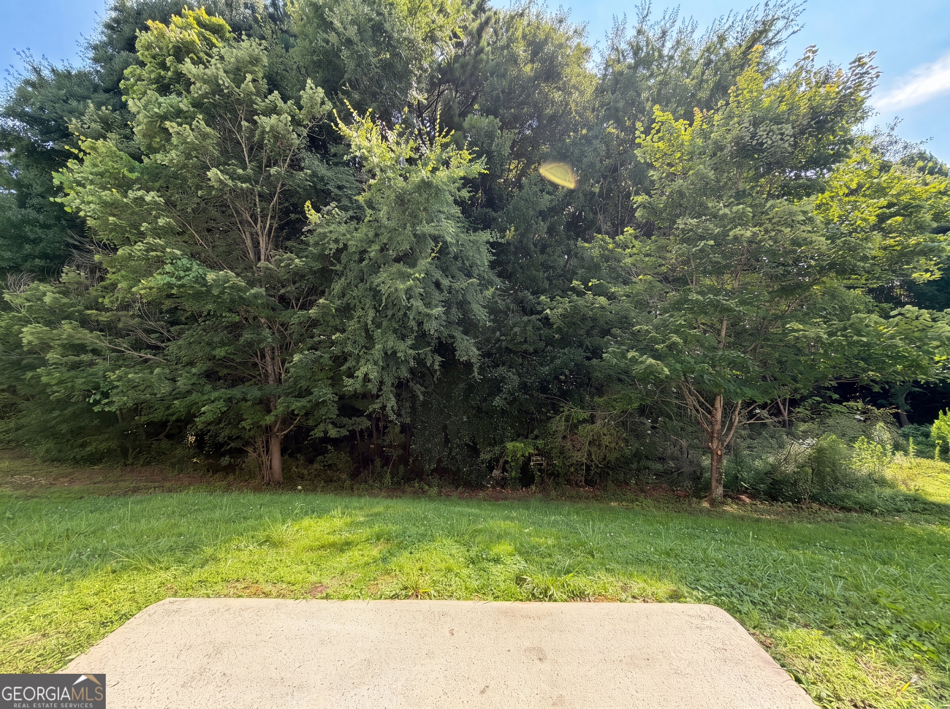 2287 Silver Maple Circle Property Photo 23