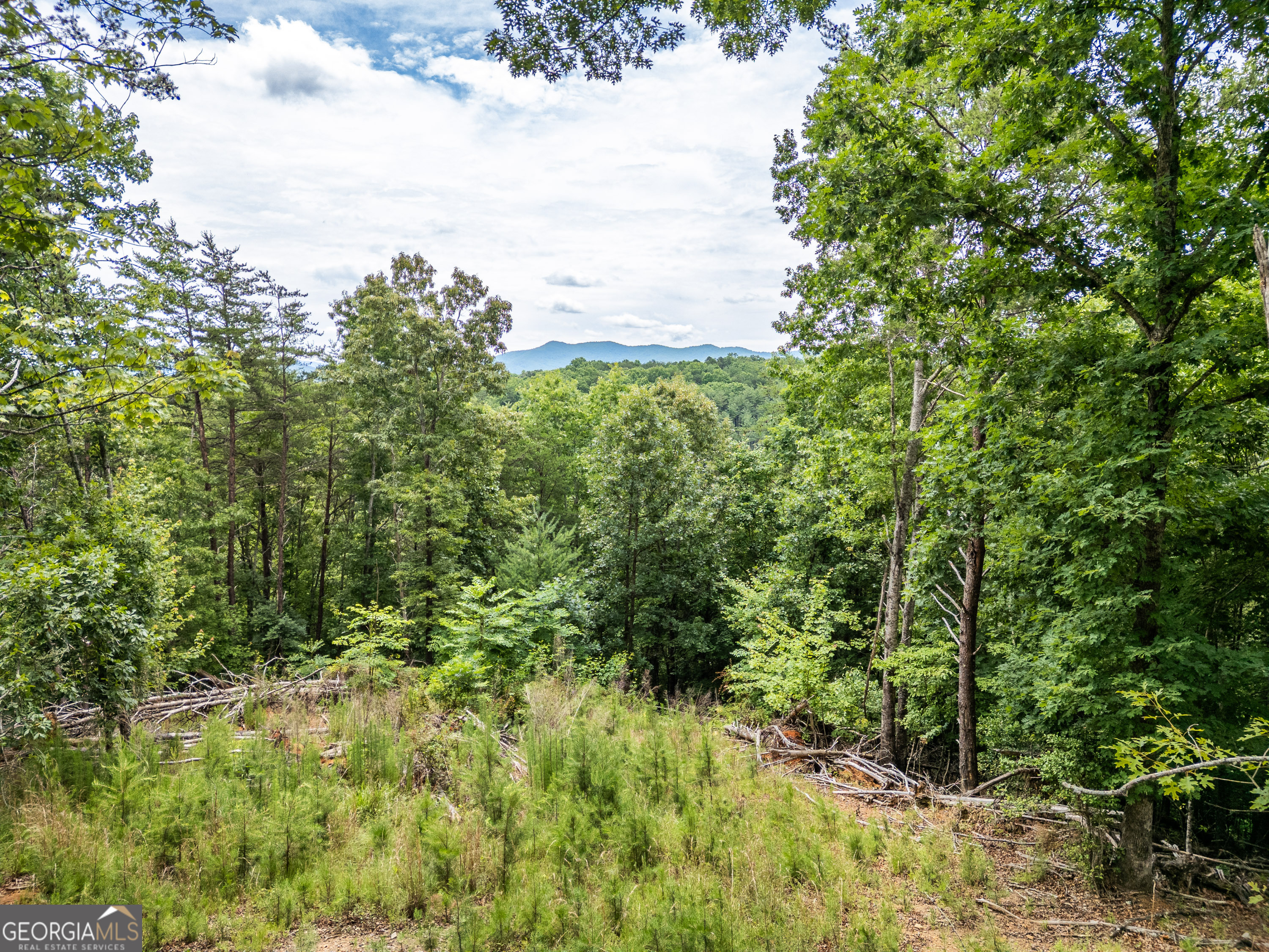 Lt 1 Stormy Ridge Property Photo 1