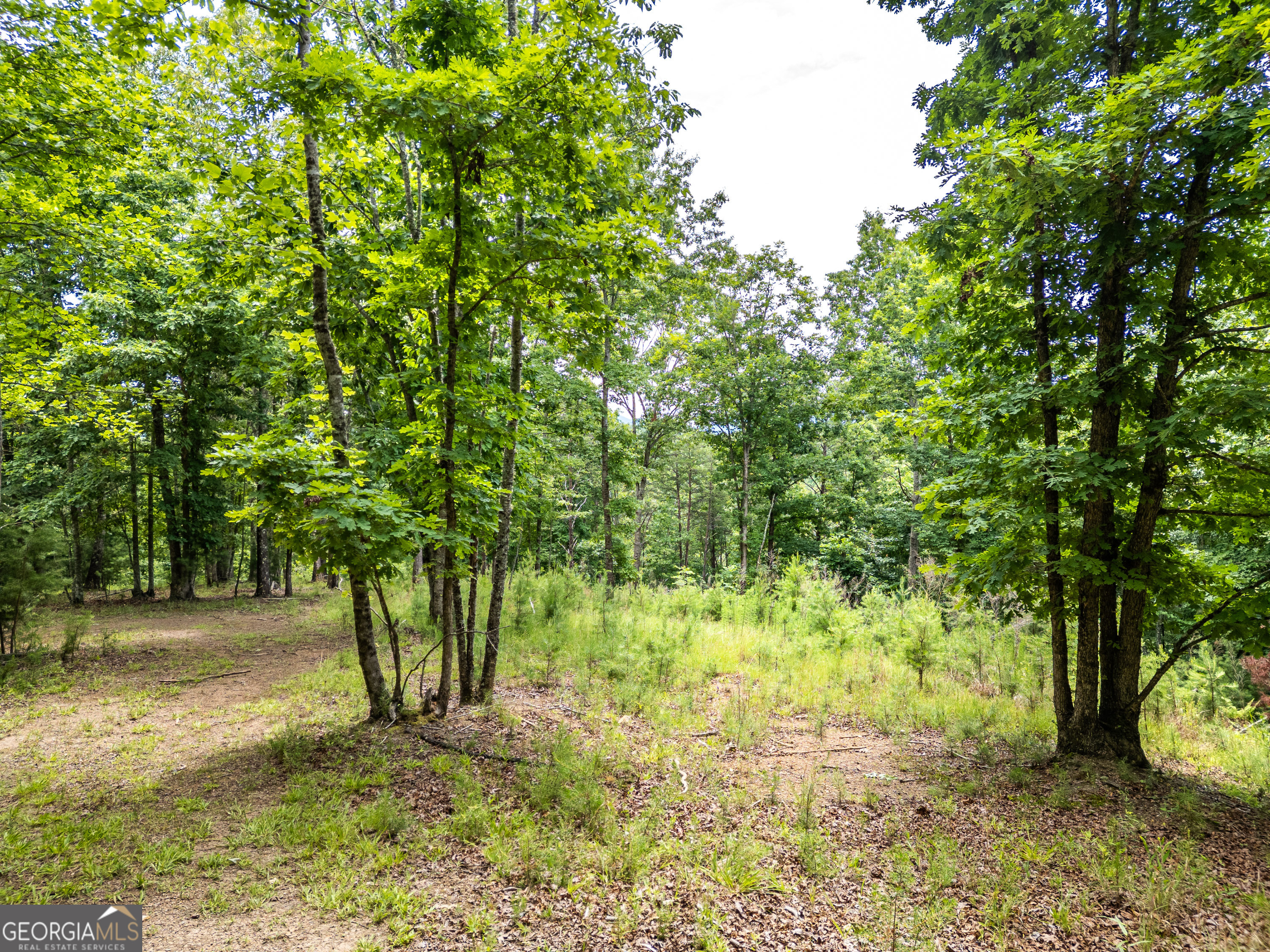 Lt 1 Stormy Ridge Property Photo 4