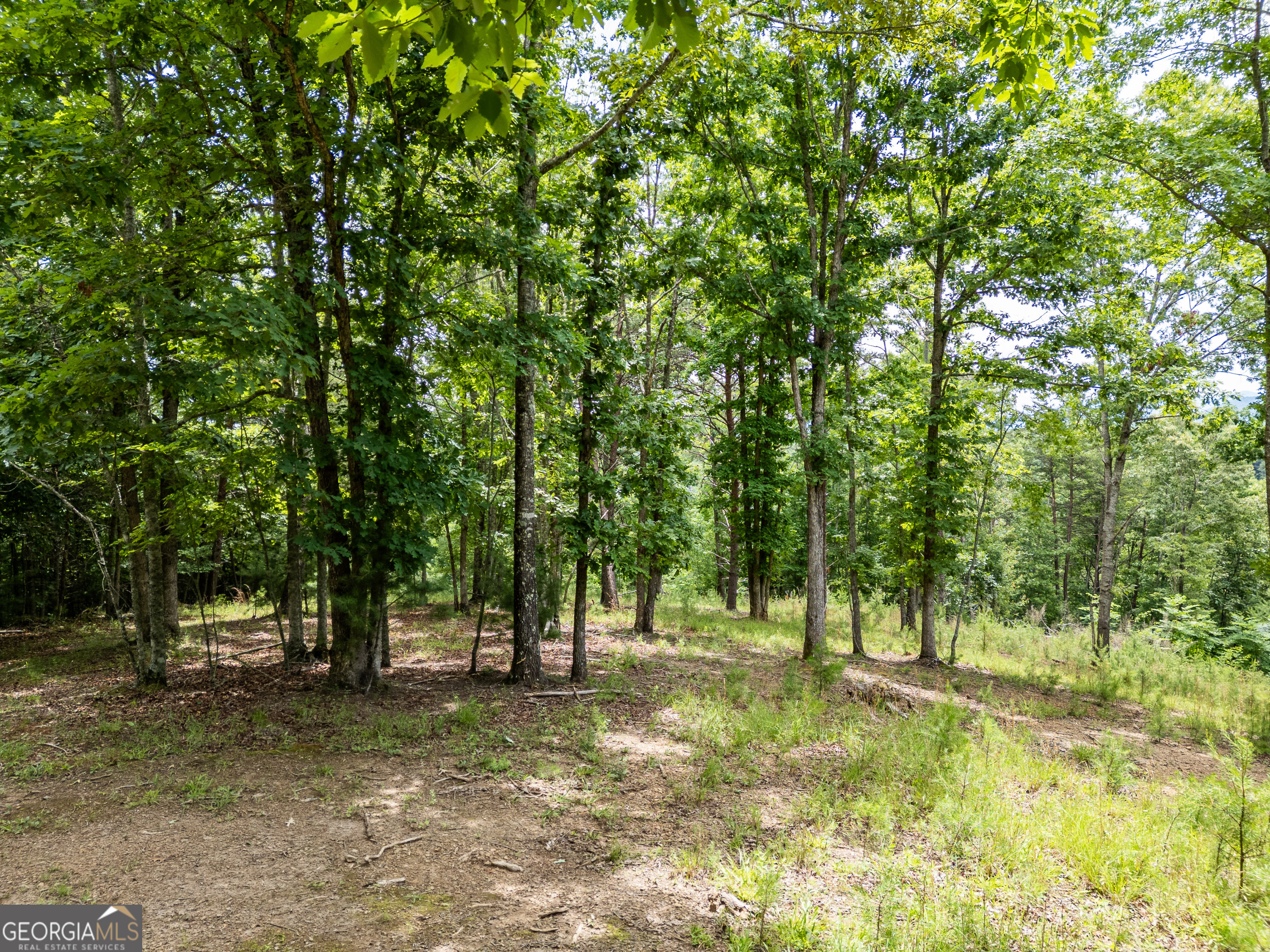 Lt 1 Stormy Ridge Property Photo 5