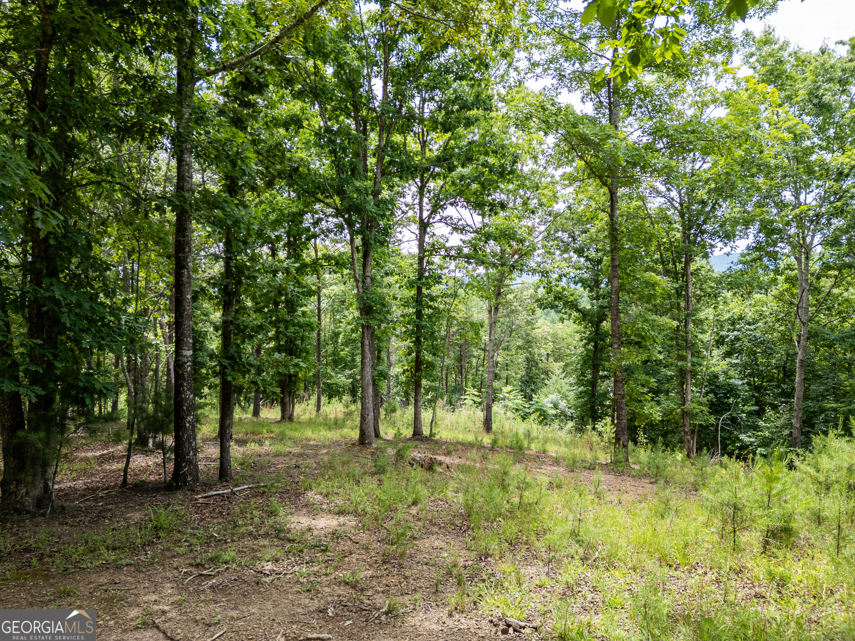 Lt 1 Stormy Ridge Property Photo 6