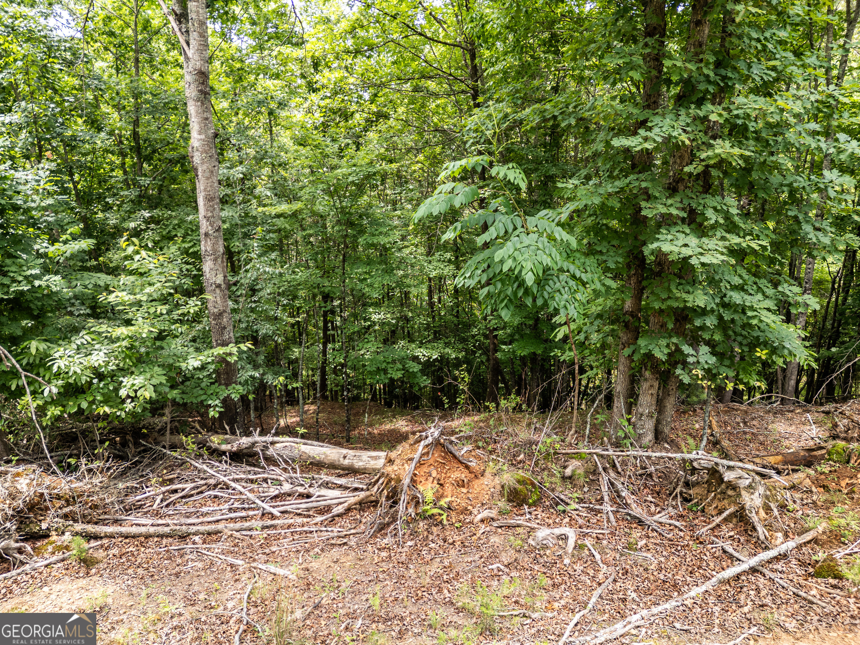 Lt 1 Stormy Ridge Property Photo 8