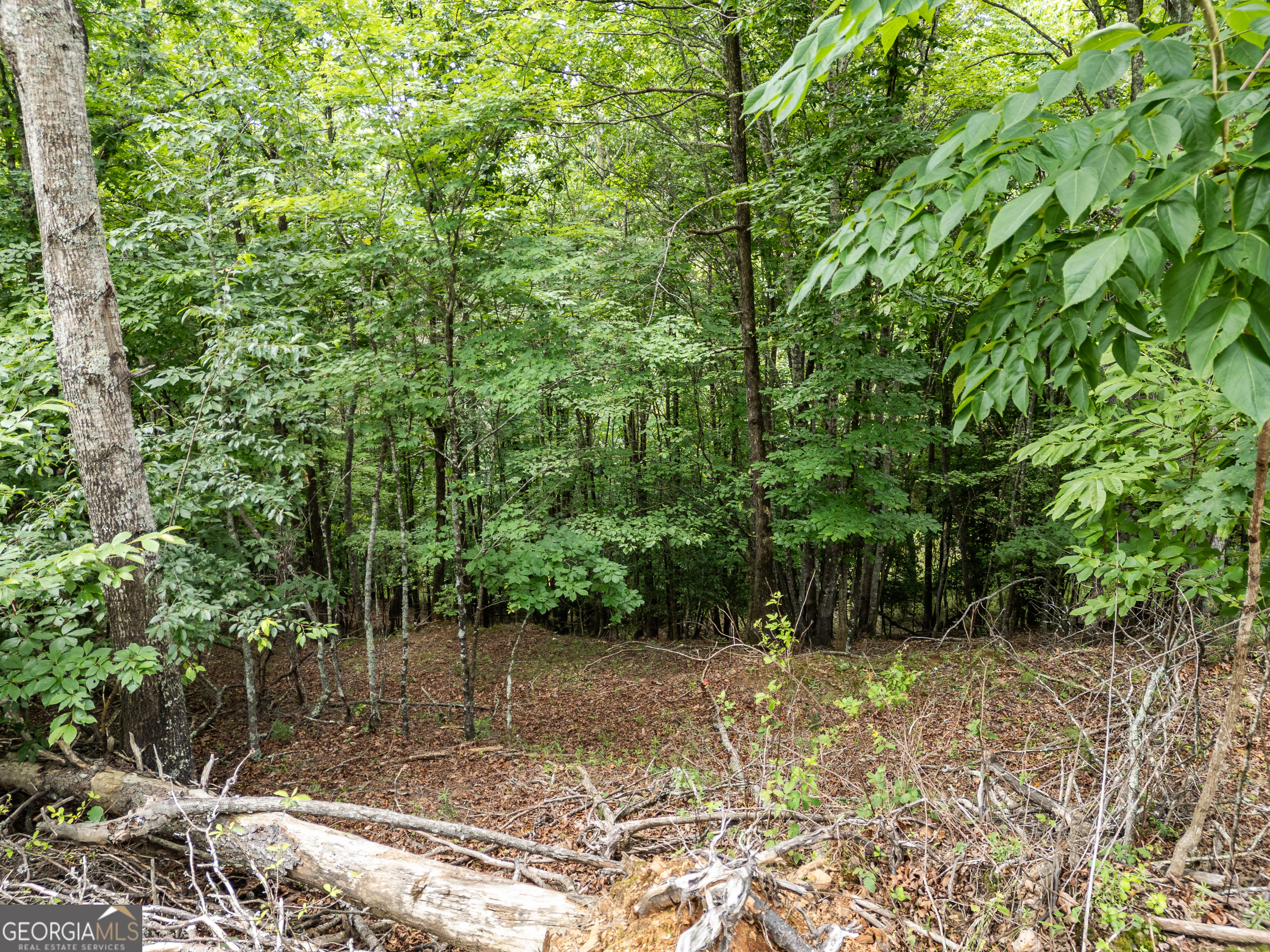 Lt 1 Stormy Ridge Property Photo 9