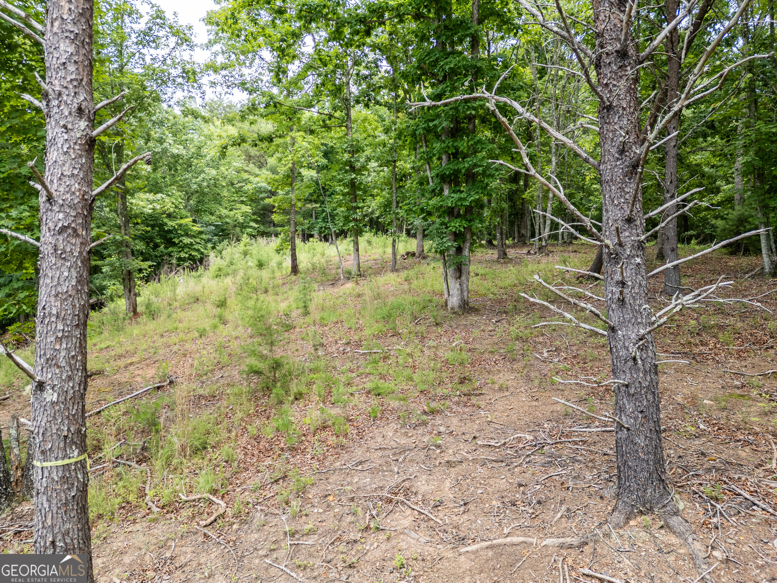 Lt 1 Stormy Ridge Property Photo 10