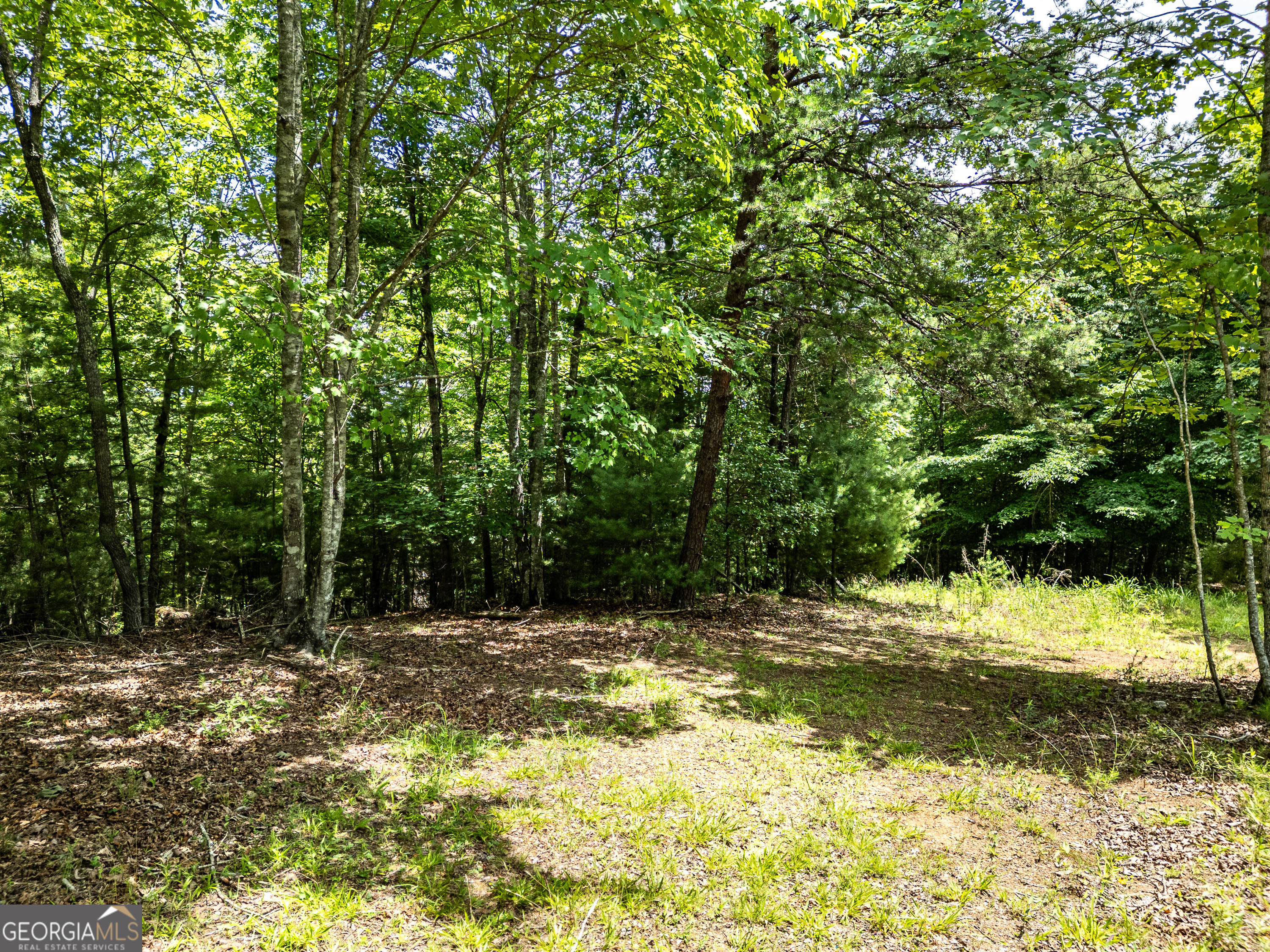Lt 2 Stormy Ridge Property Photo 3