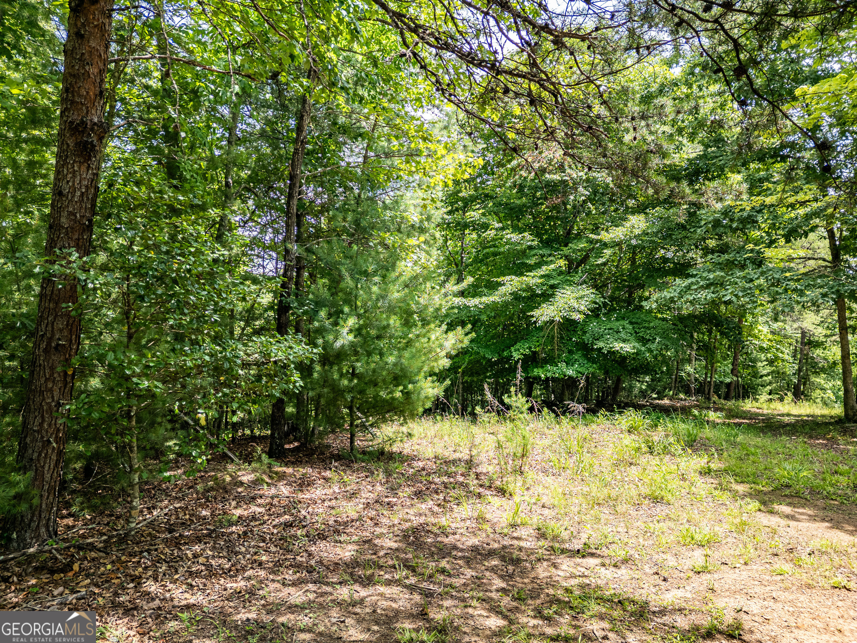 Lt 2 Stormy Ridge Property Photo 4