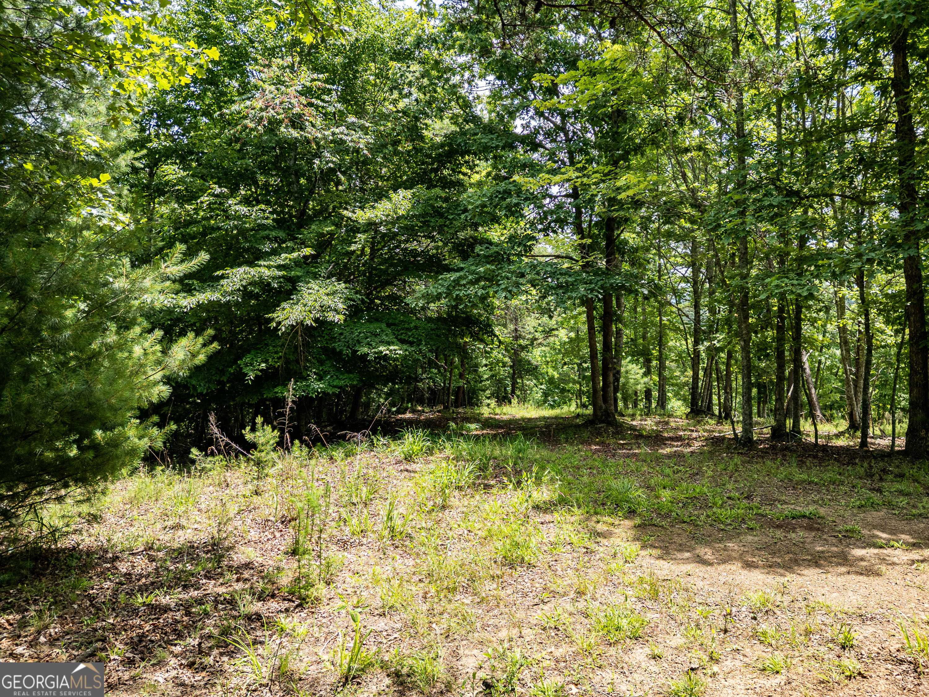 Lt 2 Stormy Ridge Property Photo 5