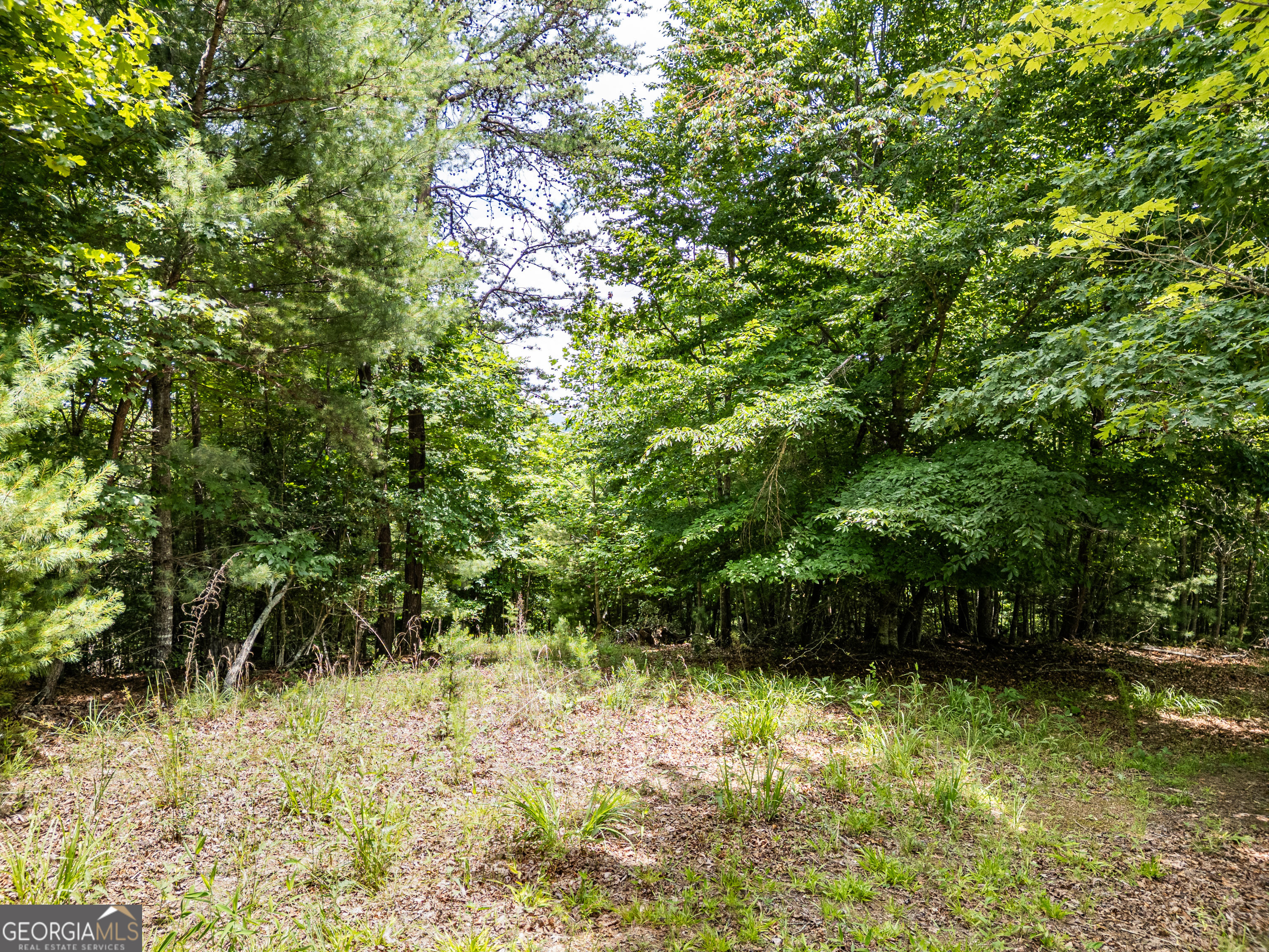 Lt 2 Stormy Ridge Property Photo 6