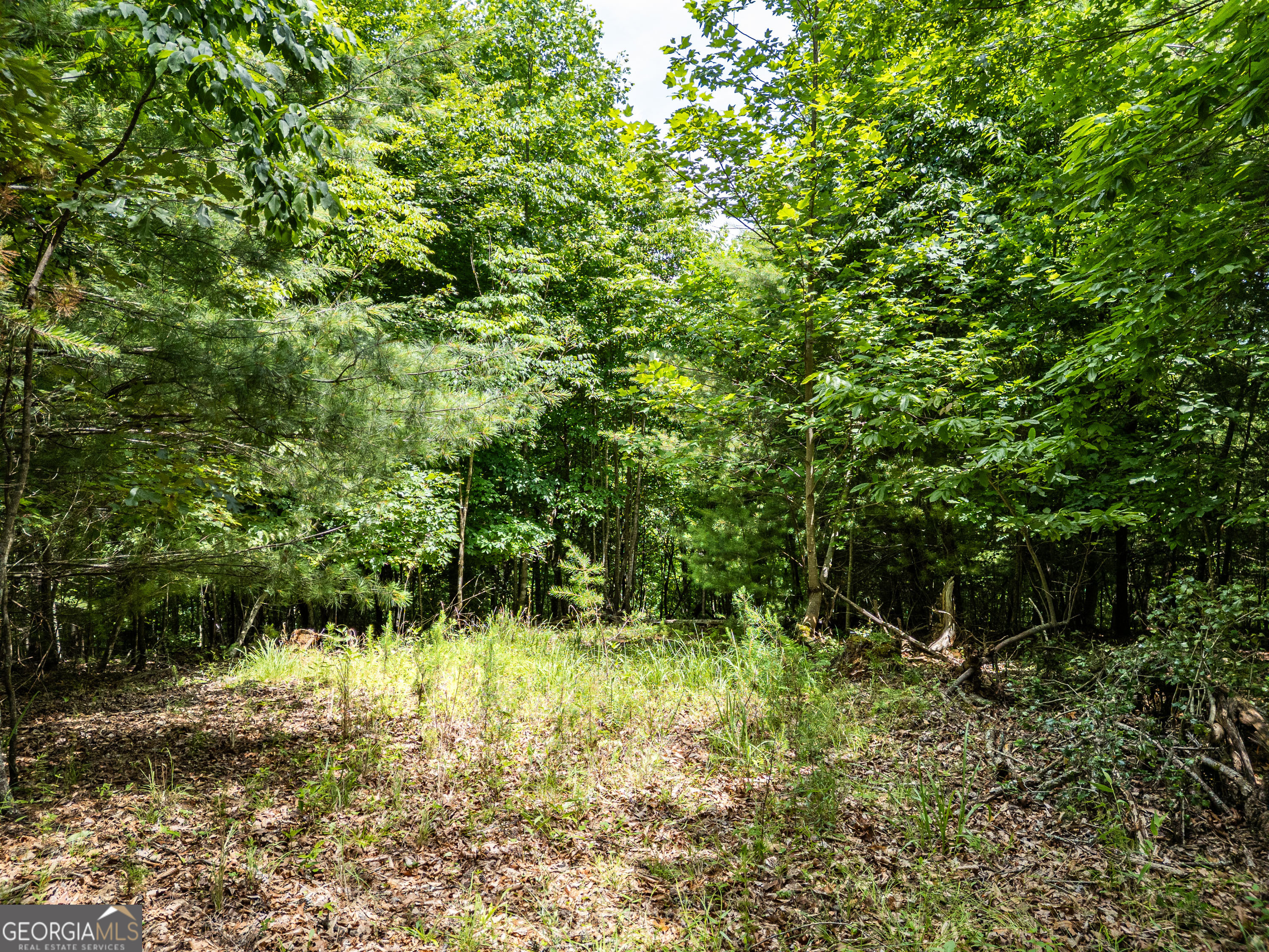 Lt 2 Stormy Ridge Property Photo 8