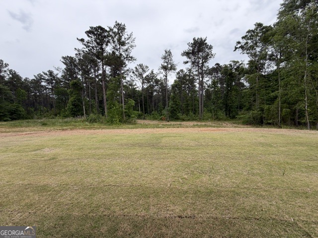 226 Robert Williams Road Property Photo 18