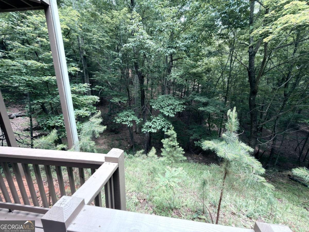 167 Trout Lily Trail Property Photo 24