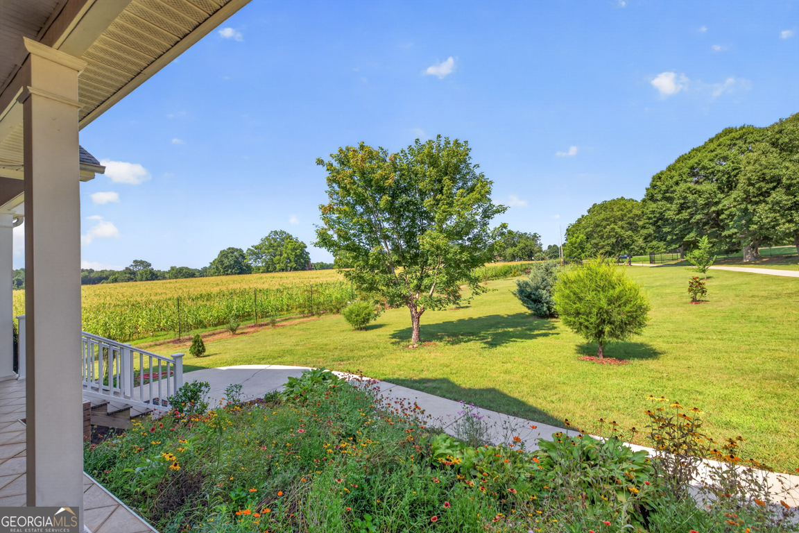 1200 Woodlawn Road Property Photo 14