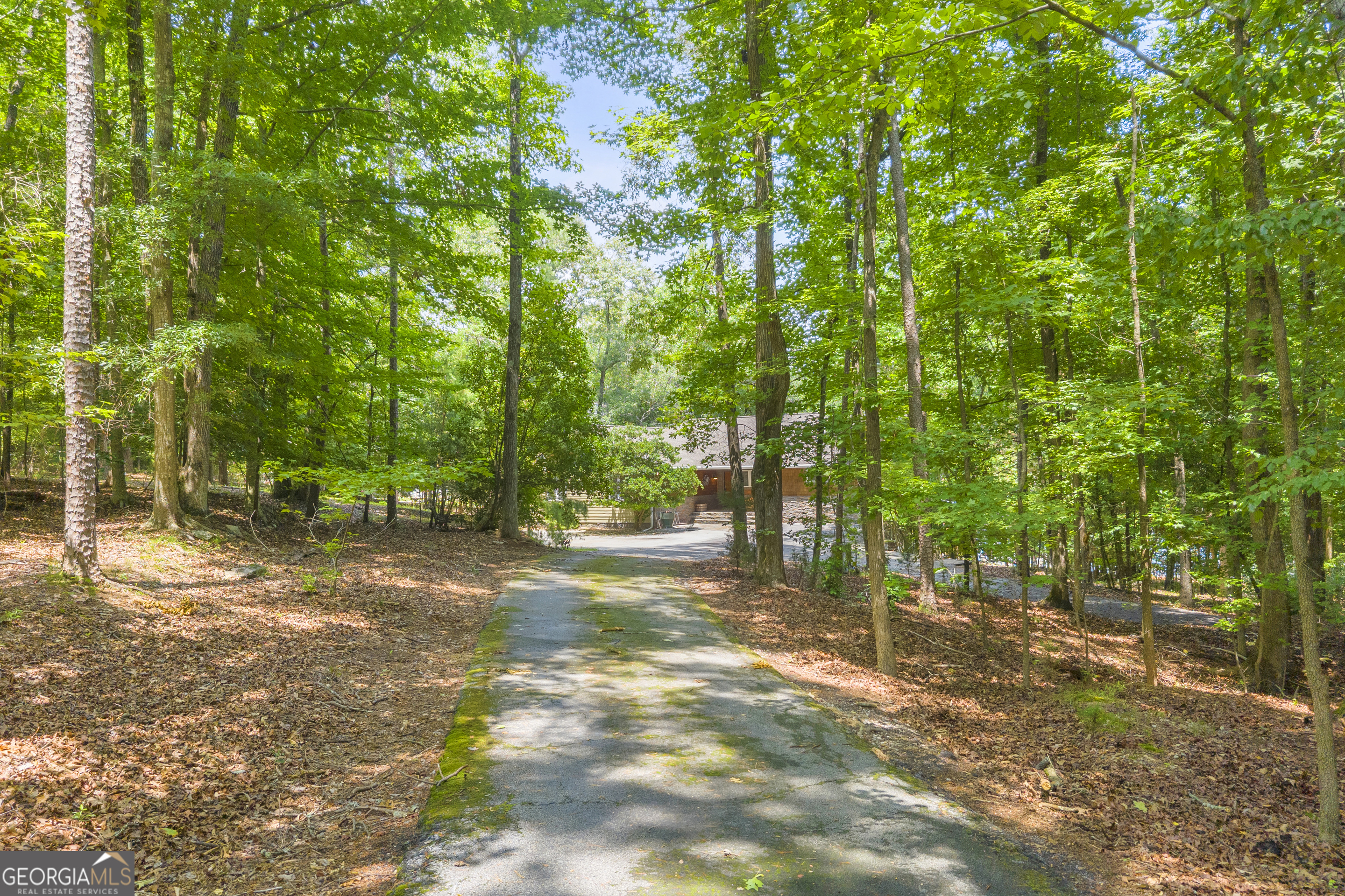 102 Pine Tree Trace Property Photo 10