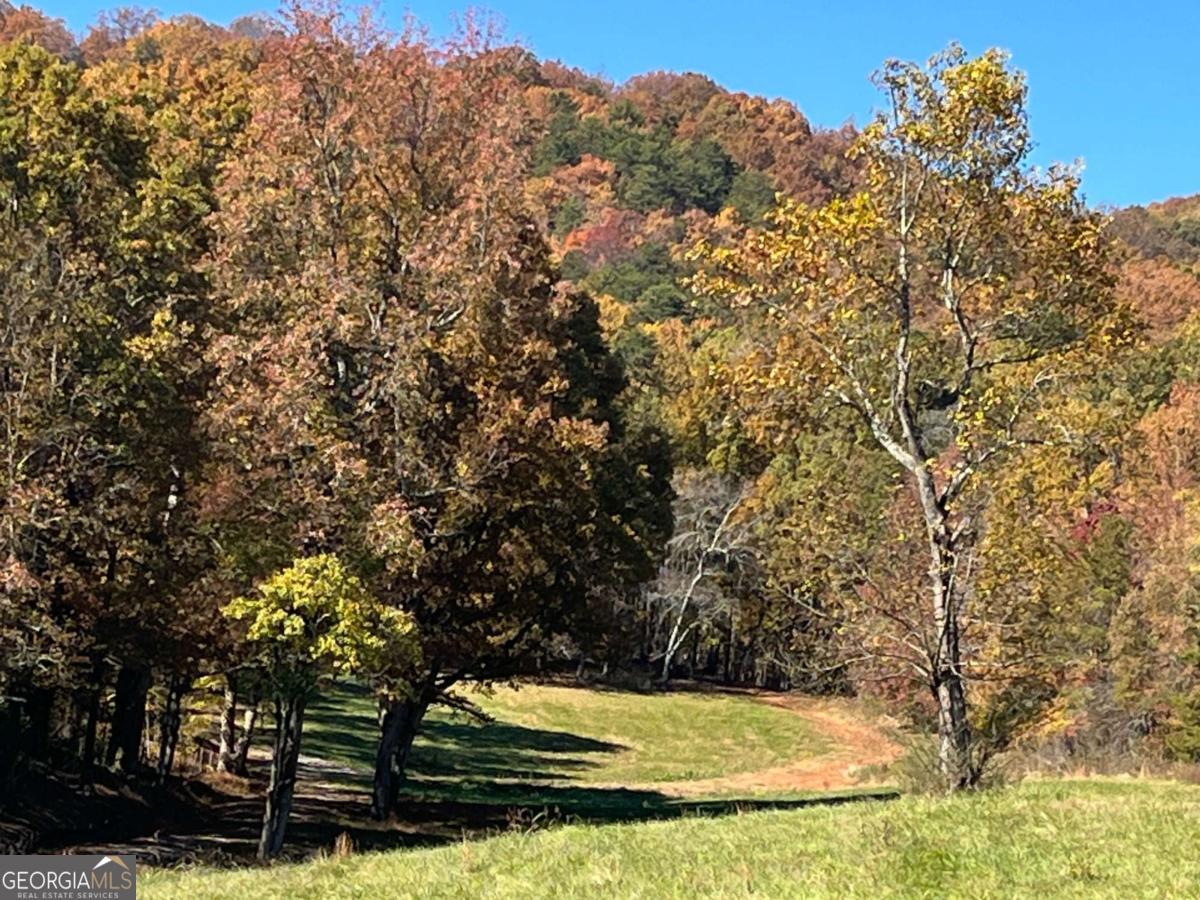0 Freeman View Trail Lot 2 Property Photo 18