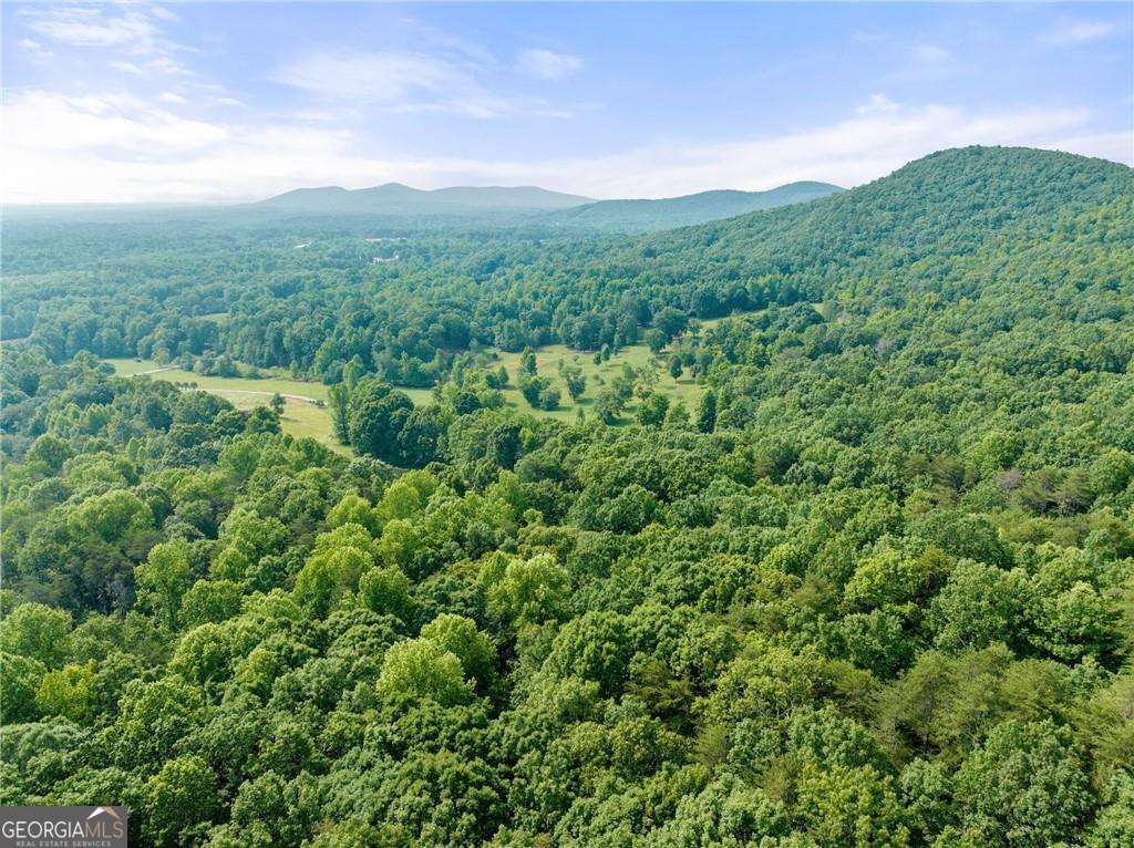 0 Freeman View Trail Lot 3 Property Photo 4