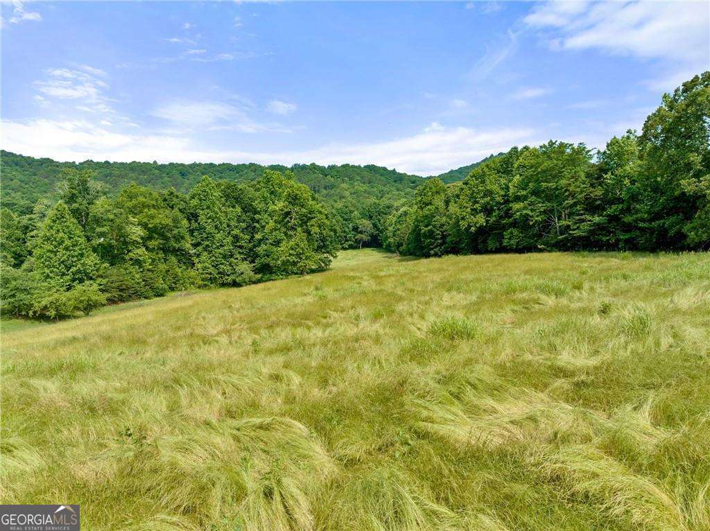 0 Freeman View Trail Lot 3 Property Photo 5