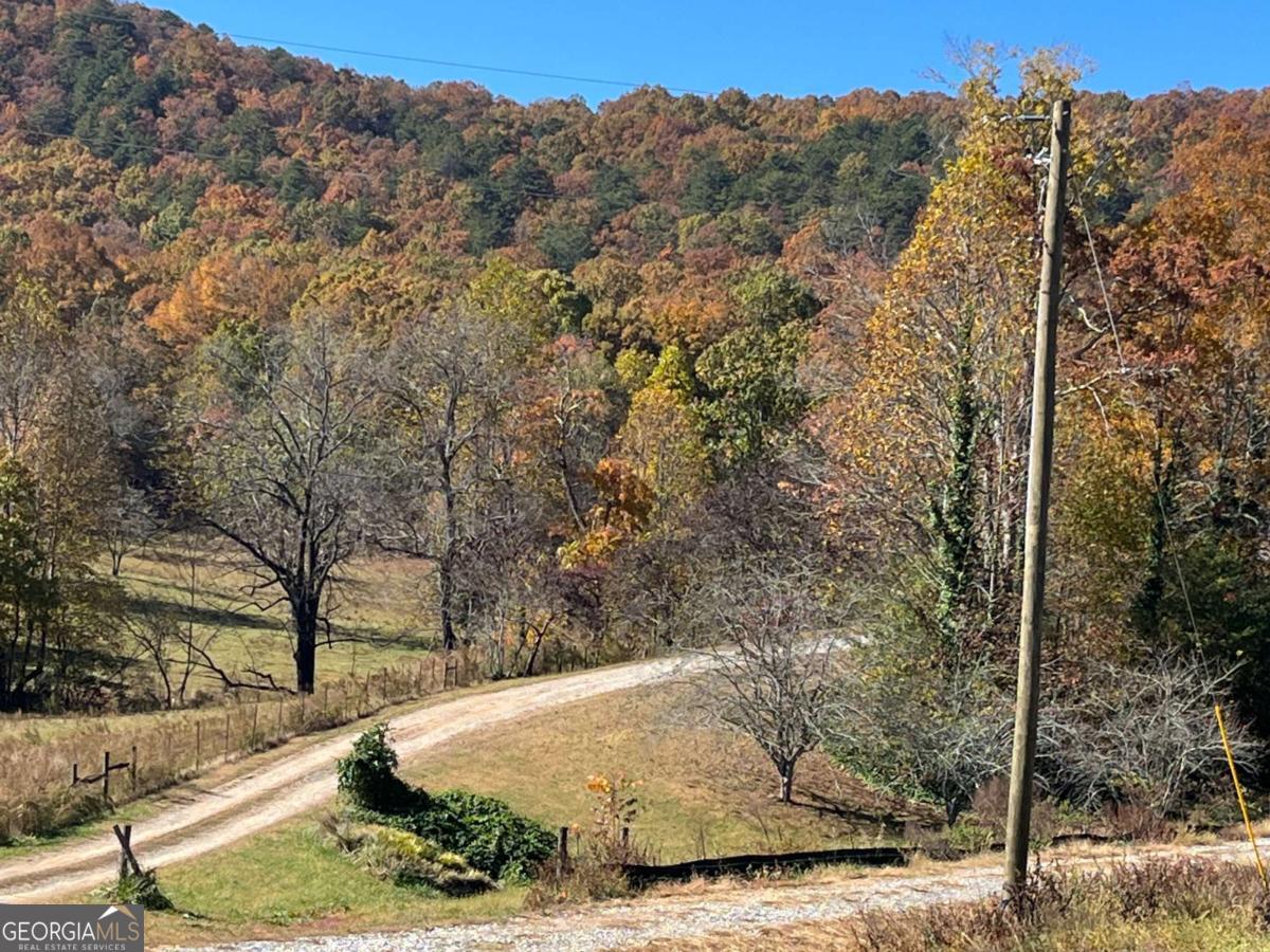 0 Freeman View Trail Lot 3 Property Photo 19