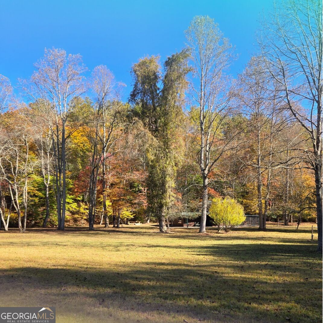 170 Dogpatch Lane Property Photo 4