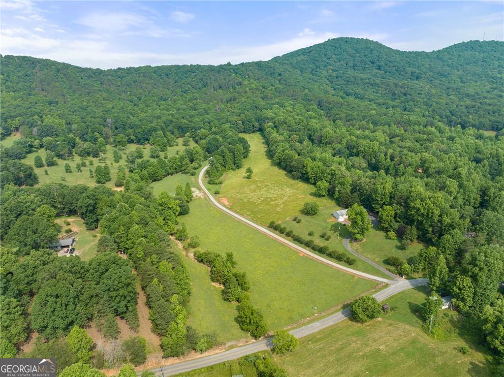 0 Freeman View Trail Lot 4 Property Photo 1
