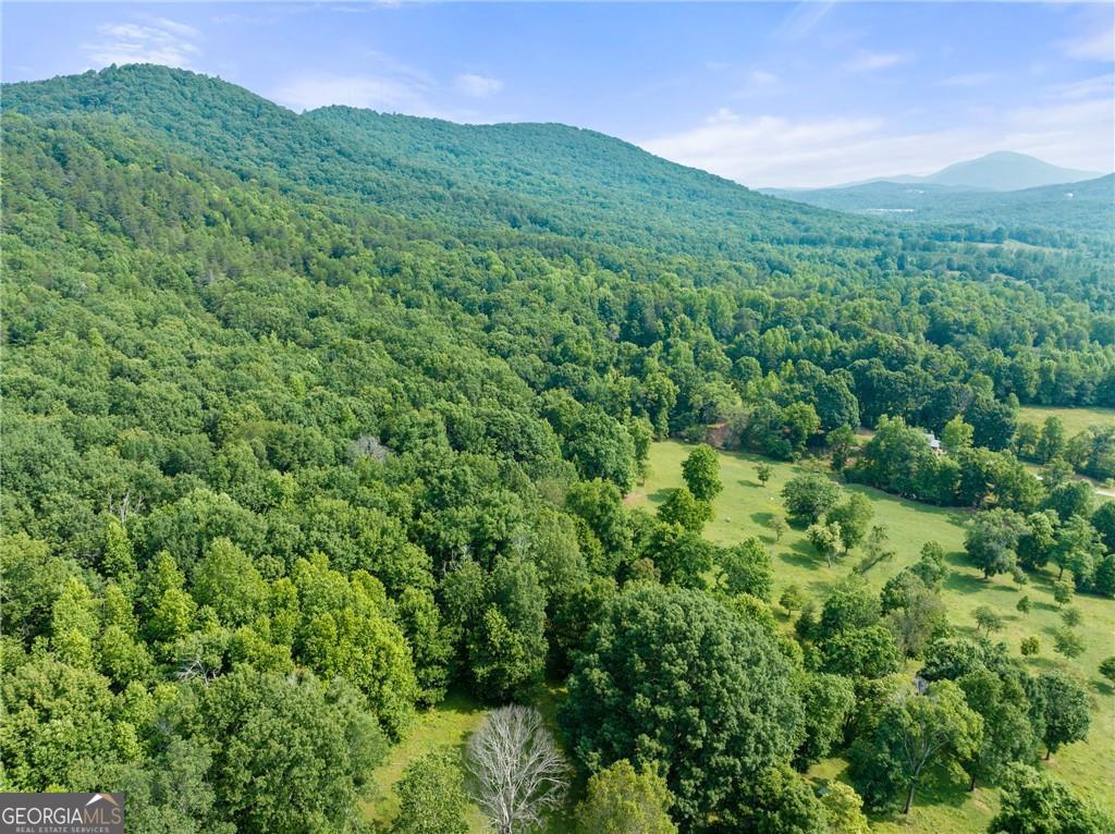 0 Freeman View Trail Lot 4 Property Photo 2