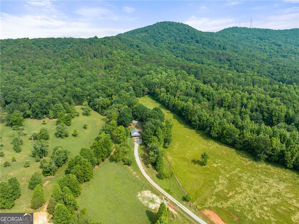 0 Freeman View Trail Lot 4 Property Photo 6