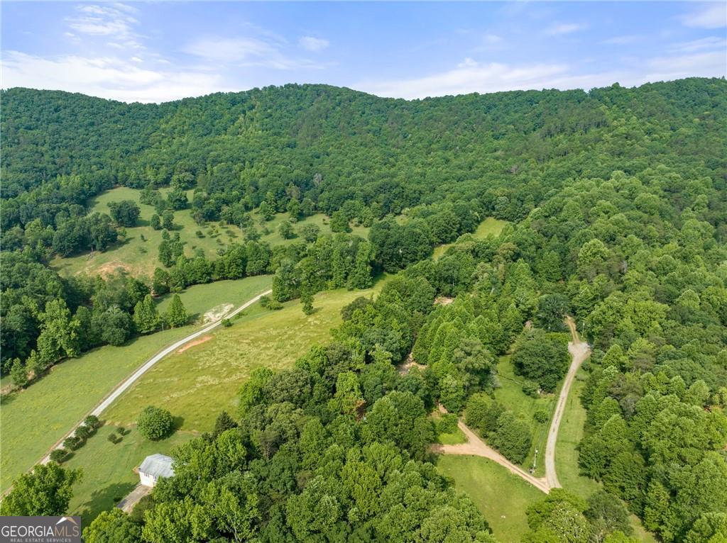 0 Freeman View Trail Lot 4 Property Photo 7