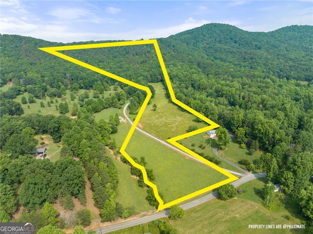 0 Freeman View Trail Lot 4 Property Photo 11