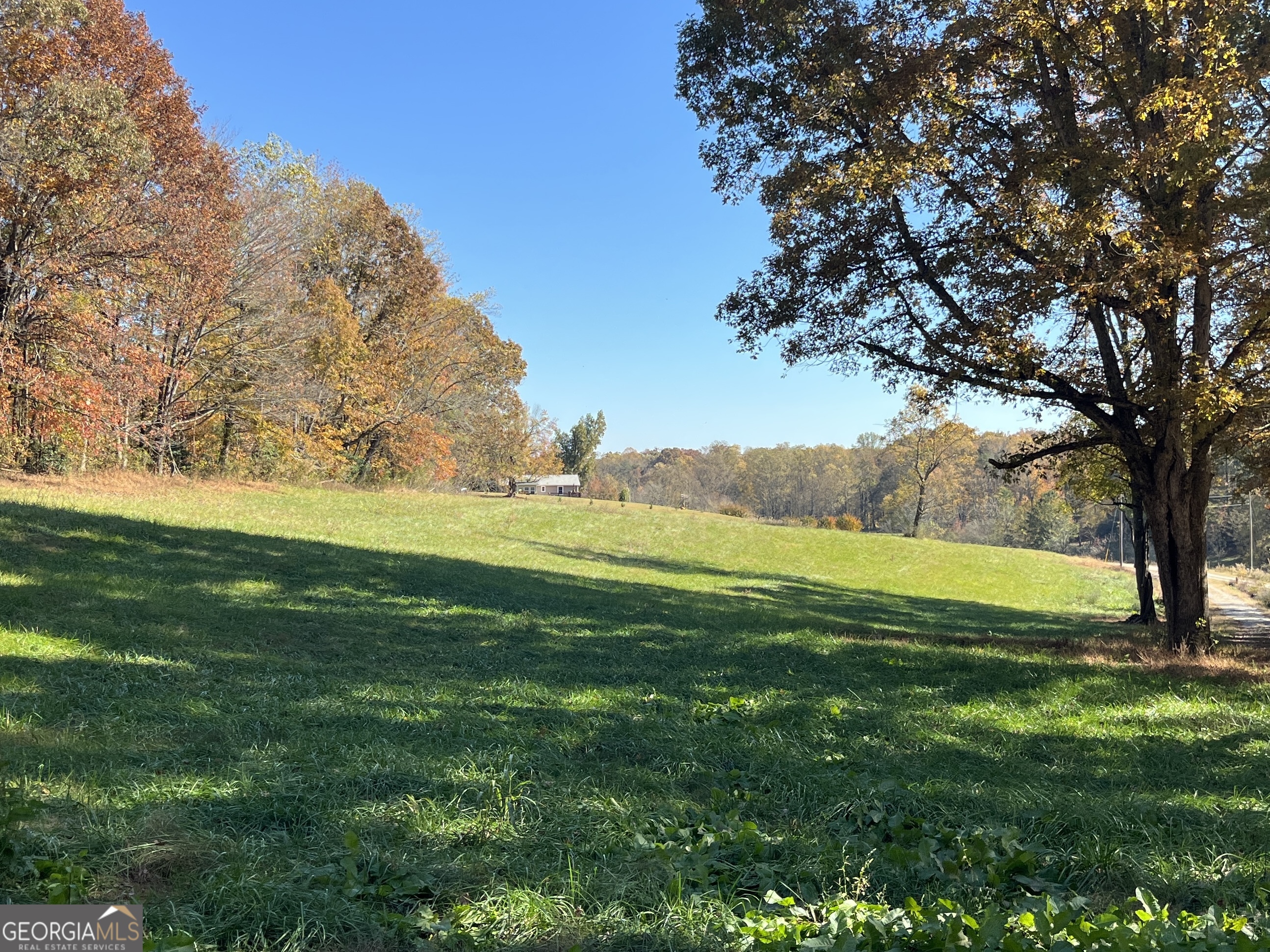 0 Freeman View Trail Lot 4 Property Photo 15