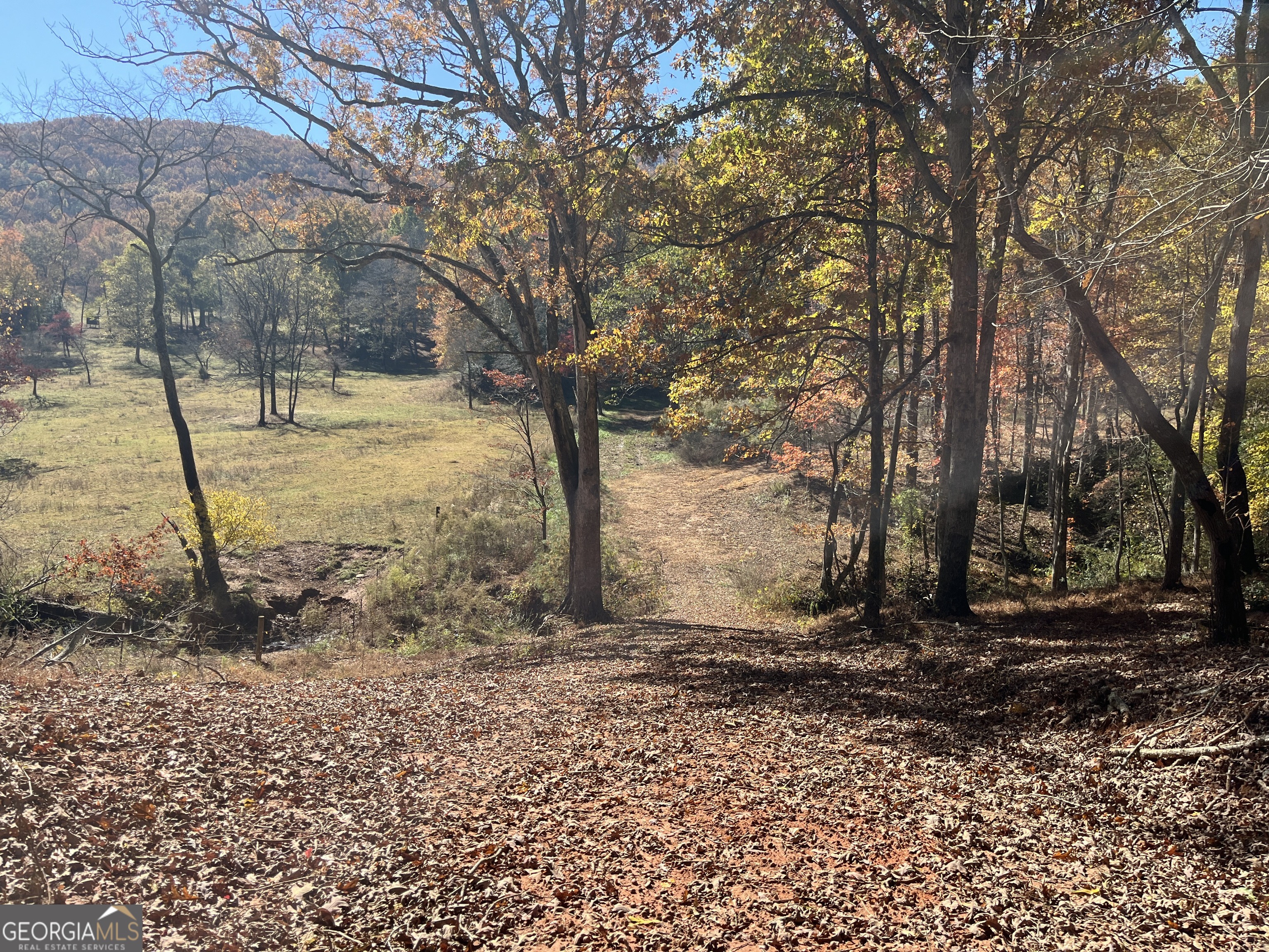 0 Freeman View Trail Lot 4 Property Photo 16